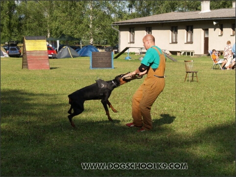 Training camp - Lukova 2007